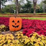 ヒメ日記 2025/10/12 14:33 投稿 りえこ おふくろさんYO!!町田店