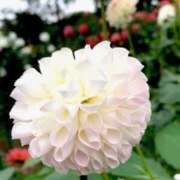 ヒメ日記 2025/11/02 08:43 投稿 りえこ おふくろさんYO!!町田店