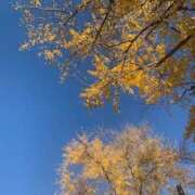 りえこ おふくろさんよ　りえこです。 おふくろさんYO!!町田店