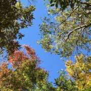 ヒメ日記 2025/12/29 11:23 投稿 りえこ おふくろさんYO!!町田店