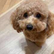 ヒメ日記 2025/08/25 22:43 投稿 えりな おふくろさんYO!!町田店