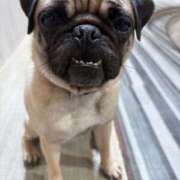 ヒメ日記 2025/09/06 16:53 投稿 えりな おふくろさんYO!!町田店