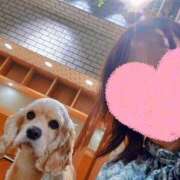 ヒメ日記 2025/09/13 13:33 投稿 えりな おふくろさんYO!!町田店