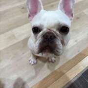 ヒメ日記 2025/10/08 17:23 投稿 えりな おふくろさんYO!!町田店