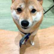 ヒメ日記 2025/10/19 14:23 投稿 えりな おふくろさんYO!!町田店