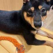 えりな 明日お問い合わせ下さい🩷 おふくろさんYO!!町田店