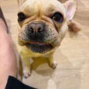 ヒメ日記 2026/01/04 16:13 投稿 えりな おふくろさんYO!!町田店