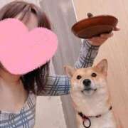 ヒメ日記 2026/01/12 13:33 投稿 えりな おふくろさんYO!!町田店