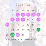 ヒメ日記 2025/12/14 12:42 投稿 シラユキ 千葉美女革命