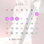 ヒメ日記 2025/12/14 23:44 投稿 シラユキ 千葉美女革命