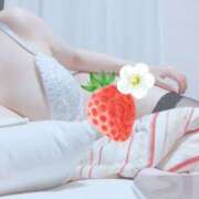 ヒメ日記 2026/04/06 23:33 投稿 菅野 艶妻　船橋店