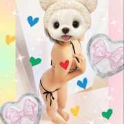 ヒメ日記 2025/11/26 15:20 投稿 体験入店福吉 艶妻　船橋店