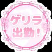 ヒメ日記 2025/12/27 21:15 投稿 うさぎ 艶妻　船橋店