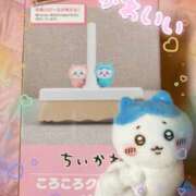 ヒメ日記 2025/06/29 04:25 投稿 猫村 艶妻　船橋店