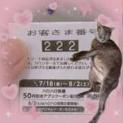 猫村 ゾロ目 艶妻　船橋店