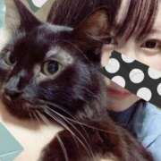 猫村 今日はのんびりできていますか？🌿 艶妻　船橋店