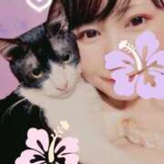 猫村 今日もお疲れさま🫧 艶妻　船橋店