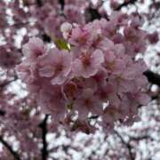 ヒメ日記 2026/02/26 11:45 投稿 島村 艶妻　船橋店