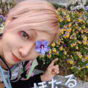 蛍 蛍です🌸 艶妻　船橋店
