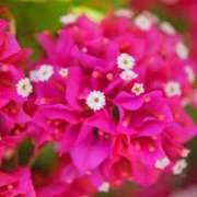 ヒメ日記 2025/07/23 07:00 投稿 ゆり 東京人妻セレブリティ（ユメオト）