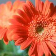 ヒメ日記 2025/08/01 07:00 投稿 ゆり 東京人妻セレブリティ（ユメオト）