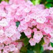 ヒメ日記 2025/08/07 07:00 投稿 ゆり 東京人妻セレブリティ（ユメオト）