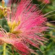 ヒメ日記 2025/08/17 10:00 投稿 ゆり 東京人妻セレブリティ（ユメオト）