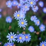 ヒメ日記 2026/03/13 13:07 投稿 ゆり 東京人妻セレブリティ（ユメオト）