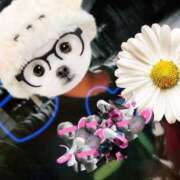 ヒメ日記 2025/07/21 00:09 投稿 推川さゆり ウルトラハピネス