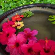 ヒメ日記 2025/08/06 17:19 投稿 葵(あおい) 広島回春性感マッサージ倶楽部