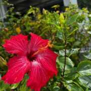 ヒメ日記 2025/08/10 07:39 投稿 葵(あおい) 広島回春性感マッサージ倶楽部