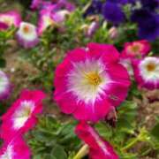 ヒメ日記 2025/08/11 08:59 投稿 葵(あおい) 広島回春性感マッサージ倶楽部