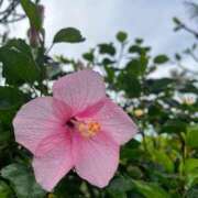 ヒメ日記 2025/08/17 10:29 投稿 葵(あおい) 広島回春性感マッサージ倶楽部