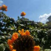 ヒメ日記 2025/08/28 16:29 投稿 葵(あおい) 広島回春性感マッサージ倶楽部