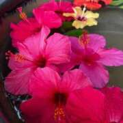 ヒメ日記 2025/09/01 12:29 投稿 葵(あおい) 広島回春性感マッサージ倶楽部