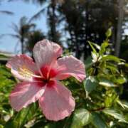 ヒメ日記 2025/09/07 13:47 投稿 葵(あおい) 広島回春性感マッサージ倶楽部