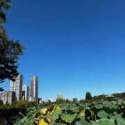 ヒメ日記 2025/10/21 09:11 投稿 葵(あおい) 広島回春性感マッサージ倶楽部