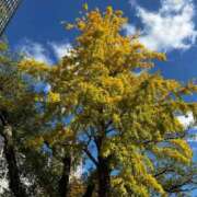 ヒメ日記 2025/11/15 14:29 投稿 葵(あおい) 広島回春性感マッサージ倶楽部