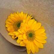 ヒメ日記 2025/07/07 11:26 投稿 葉月りんこ クラブダンディー