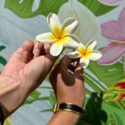 ヒメ日記 2025/07/07 22:24 投稿 葉月りんこ クラブダンディー