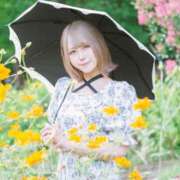 ヒメ日記 2025/10/01 10:17 投稿 うた ムーランルージュ