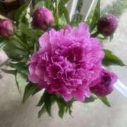 ヒメ日記 2025/07/03 11:34 投稿 美澄紗夜 五十路マダムエクスプレス横浜店（カサブランカグループ）