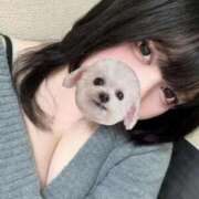 ヒメ日記 2026/03/19 19:12 投稿 かなう 奥様特急　上野・鶯谷店