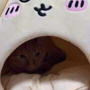 ヒメ日記 2025/11/16 08:16 投稿 すみか お姉さんSelect