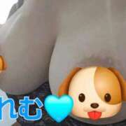 ヒメ日記 2025/11/18 15:05 投稿 れむ ぷるるんギャング