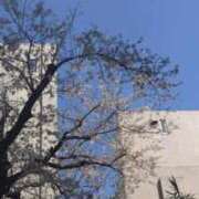 ヒメ日記 2026/03/29 10:35 投稿 れむ ぷるるんギャング