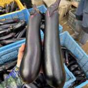 ヒメ日記 2025/07/11 06:46 投稿 あんず モアグループ川越人妻花壇