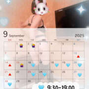 ヒメ日記 2025/09/06 20:00 投稿 あんず モアグループ川越人妻花壇