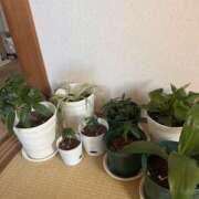 ヒメ日記 2025/09/08 10:30 投稿 あんず モアグループ川越人妻花壇