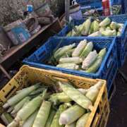 ヒメ日記 2025/09/25 15:32 投稿 あんず モアグループ川越人妻花壇